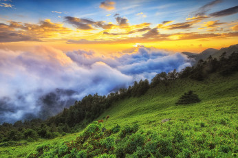 Картинка природа пейзажи простор