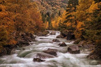 Картинка природа реки озера простор