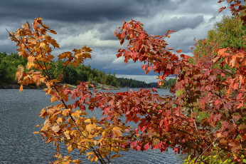 Картинка природа реки озера простор