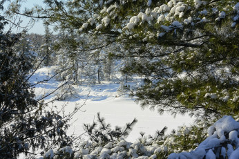 Картинка природа зима простор