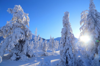 Картинка природа зима простор