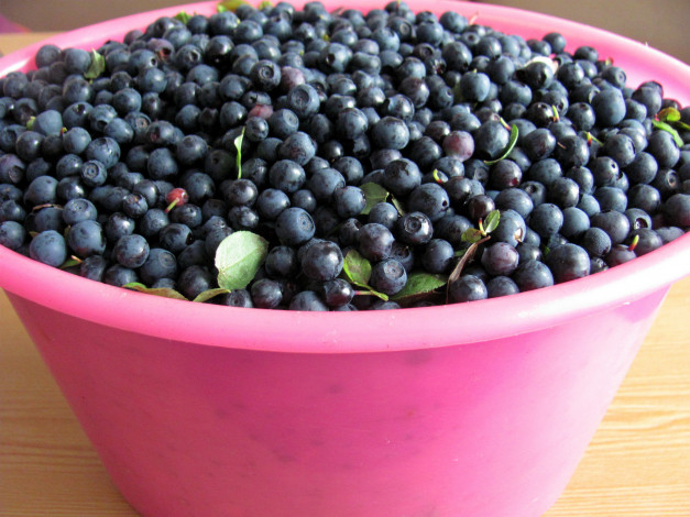 Обои картинки фото еда, голубика,  черника, черника