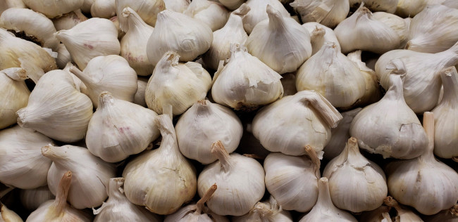 Обои картинки фото еда, чеснок