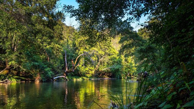 Обои картинки фото природа, реки, озера, отражение, река