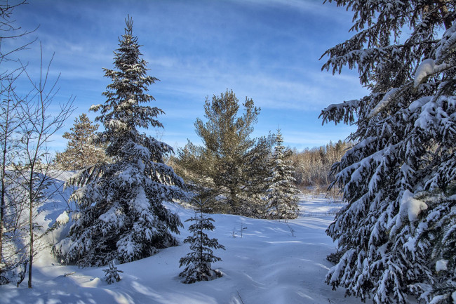 Обои картинки фото природа, зима, простор