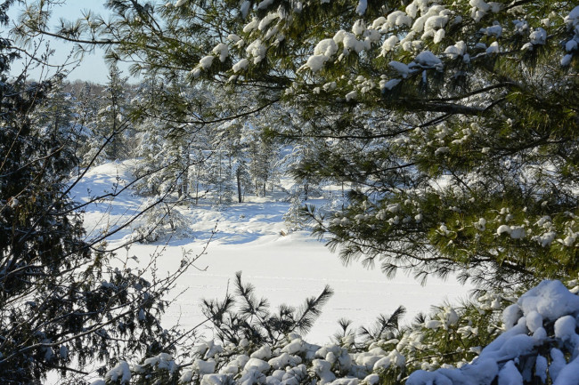 Обои картинки фото природа, зима, простор