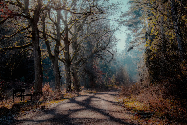 Обои картинки фото природа, дороги, простор