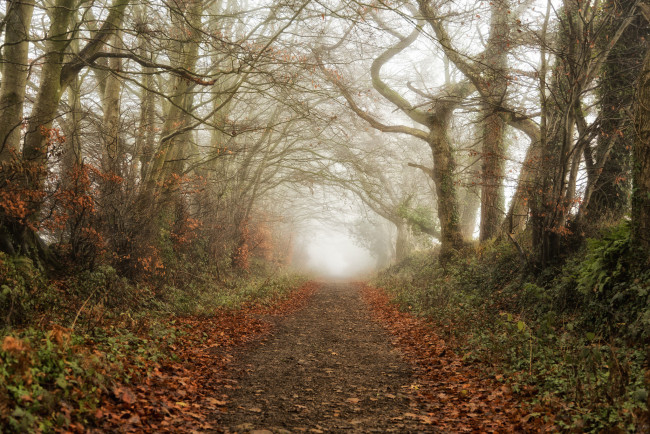 Обои картинки фото природа, дороги, простор