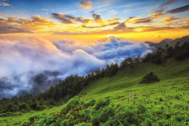 Обои картинки фото природа, пейзажи, простор