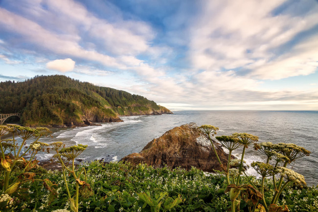 Обои картинки фото природа, побережье, простор