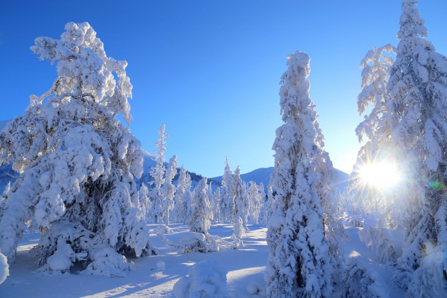 Обои картинки фото природа, зима, простор