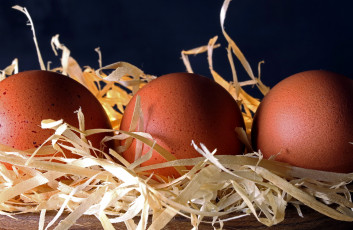 Картинка еда яйца солома свежие