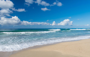 Картинка природа побережье пляж