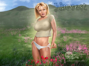 Картинка outlaw volleyball видео игры