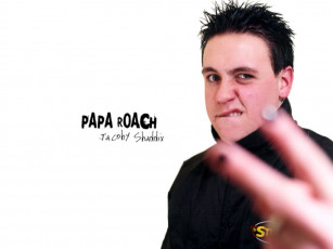 обоя музыка, papa, roach