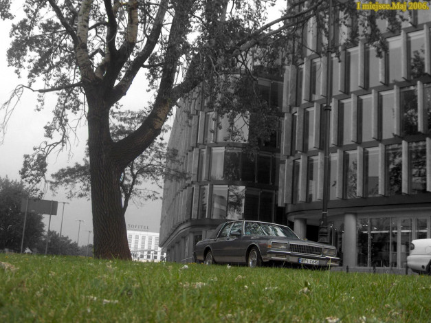 Обои картинки фото автомобили, выставки, уличные, фото