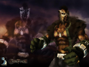 Картинка darkwind видео игры