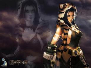 Картинка darkwind видео игры