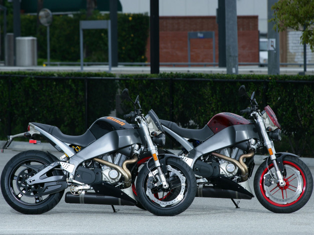 Обои картинки фото мотоциклы, buell