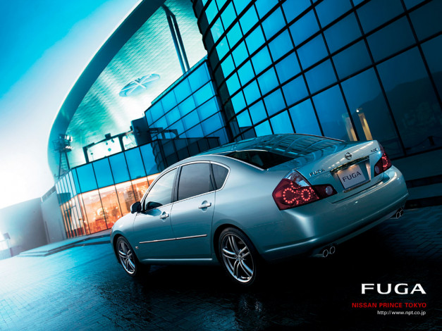 Обои картинки фото nissan, fuga, автомобили, datsun