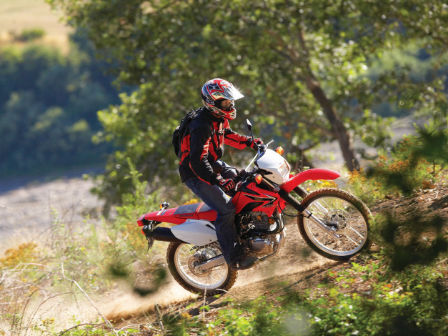 Обои картинки фото спорт, мотокросс