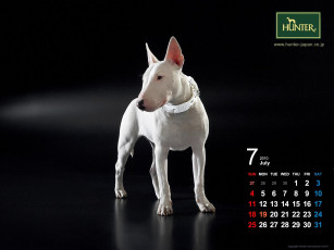 Картинка бренды hunter