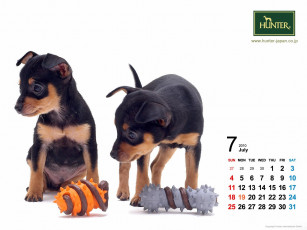 Картинка бренды hunter