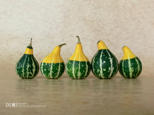 Картинка еда тыква