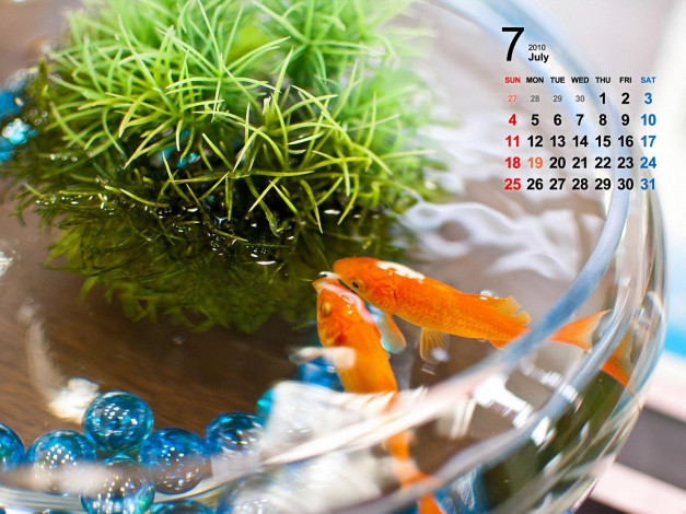 Обои картинки фото календари, животные