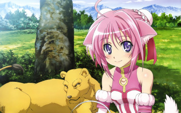 Картинка dog days аниме собака девушка