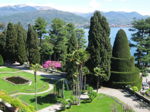 Картинка природа парк цветы деревья дорожки