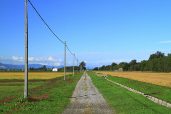 Картинка природа дороги дорога