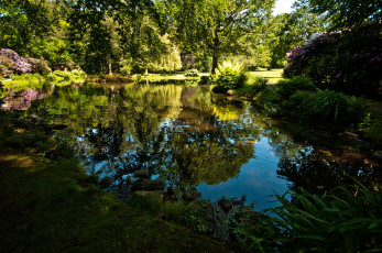 Картинка швеция парк hоganаs природа деревья родендромы пруд в дорожки