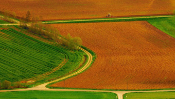 Картинка природа поля