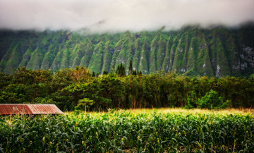 Картинка природа поля горы