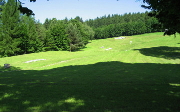 Картинка природа луга дуг камни тени деревья