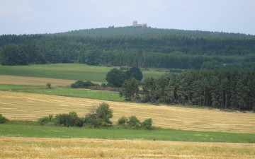 Картинка природа поля лес деревья