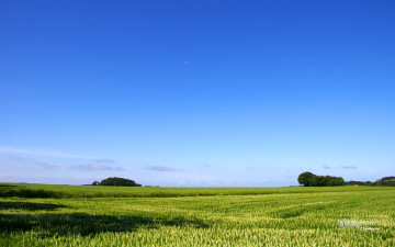 Картинка природа поля небо