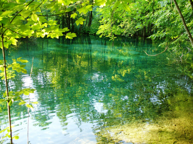 Обои картинки фото природа, реки, озера, река, деревья, отражение