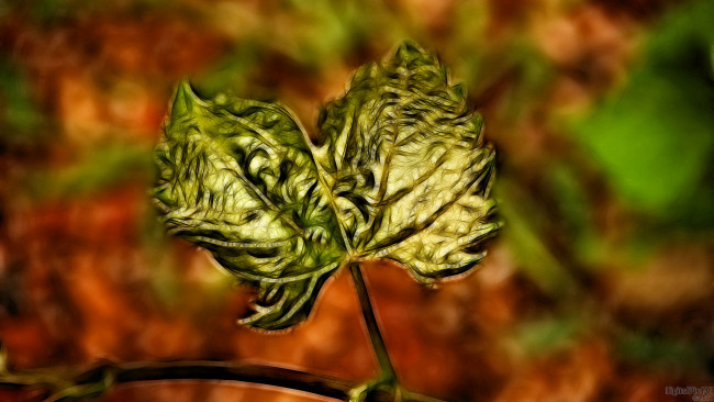 Обои картинки фото 3д, графика, nature, landscape, природа, фрактал, листочек