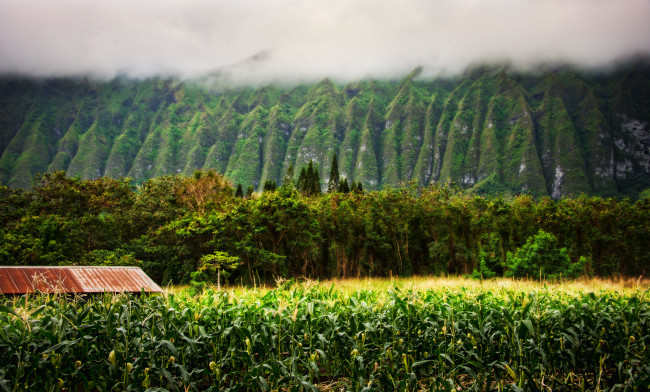 Обои картинки фото природа, поля, горы