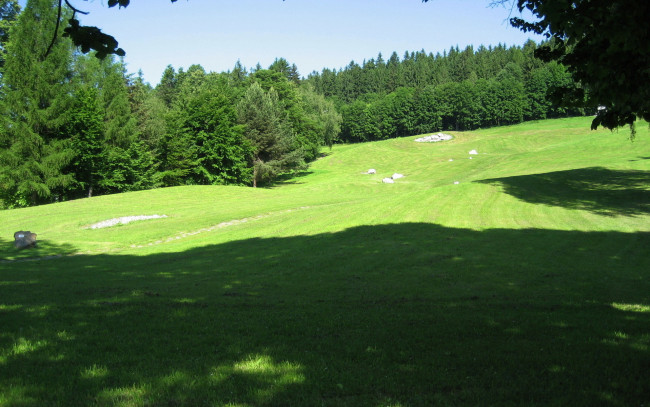 Обои картинки фото природа, луга, дуг, камни, тени, деревья