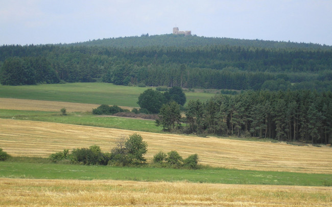 Обои картинки фото природа, поля, лес, деревья