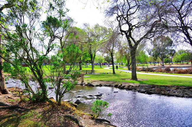 Обои картинки фото природа, парк, калифорния