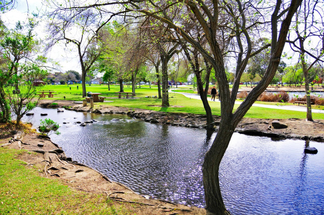 Обои картинки фото природа, парк, калифорния