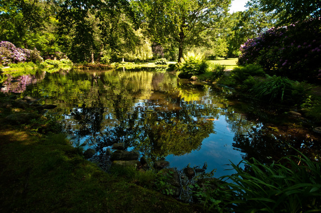 Обои картинки фото швеция, парк, hоganаs, природа, деревья, родендромы, пруд, в, дорожки