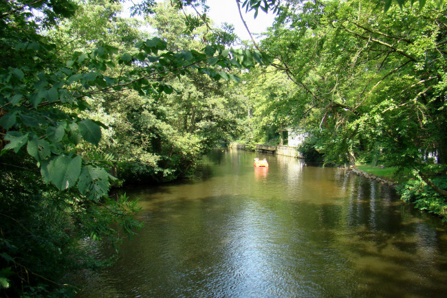 Обои картинки фото дания, оденсе, природа, реки, озера, река, дервья, ветки