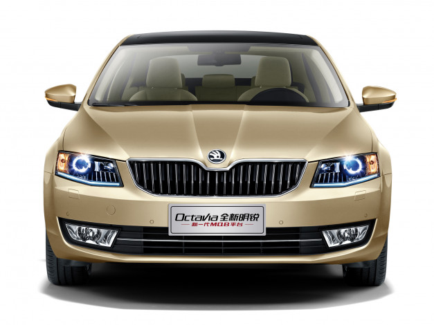 Обои картинки фото автомобили, skoda, 2014г, 5e, cn-spec, octavia