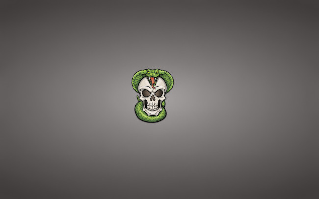 Обои картинки фото рисованные, минимализм, кобра, змея, голова, скелет, череп