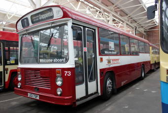 Картинка автомобили автобусы транспорт пассажирский